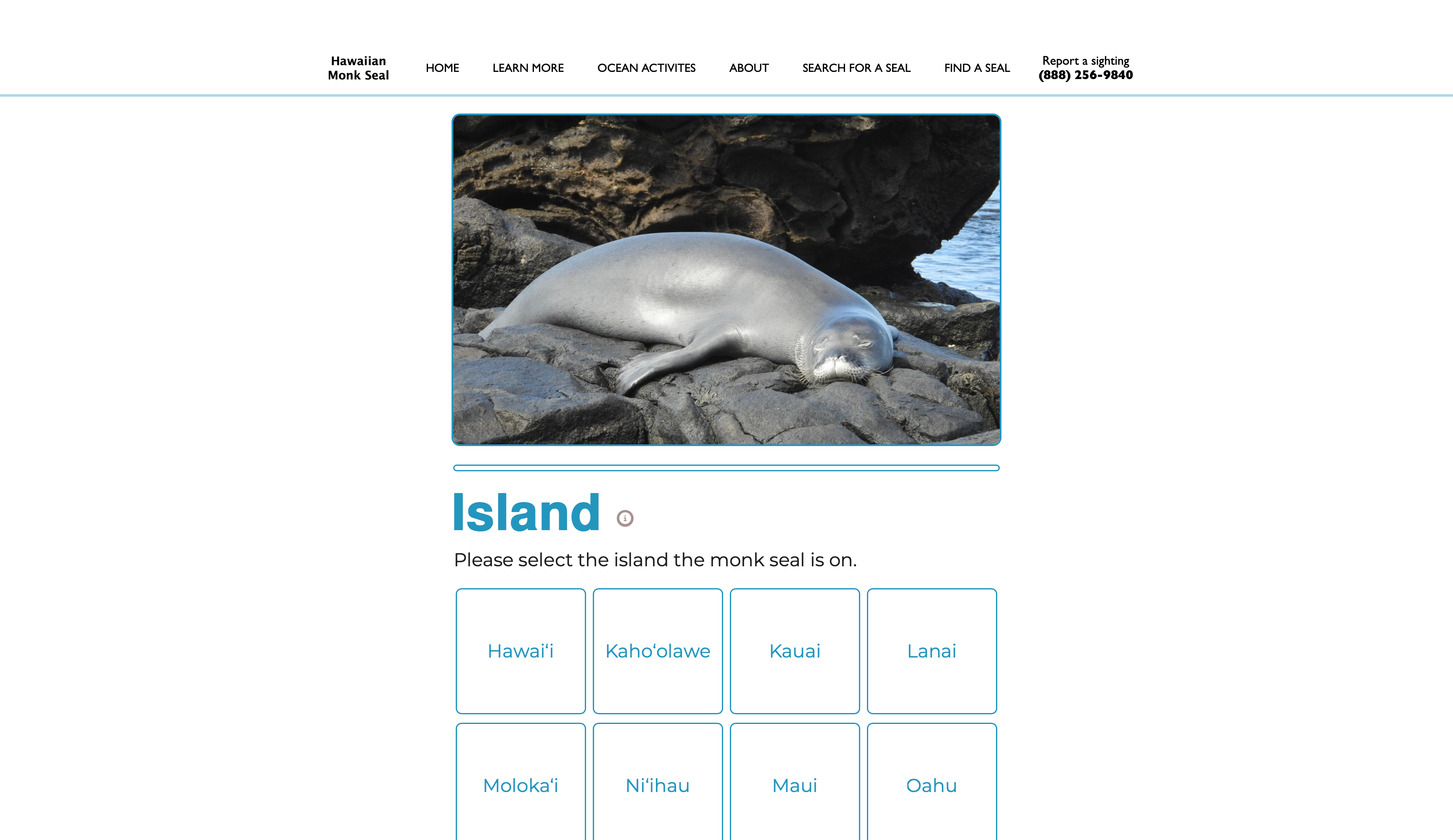 Seal Search Results