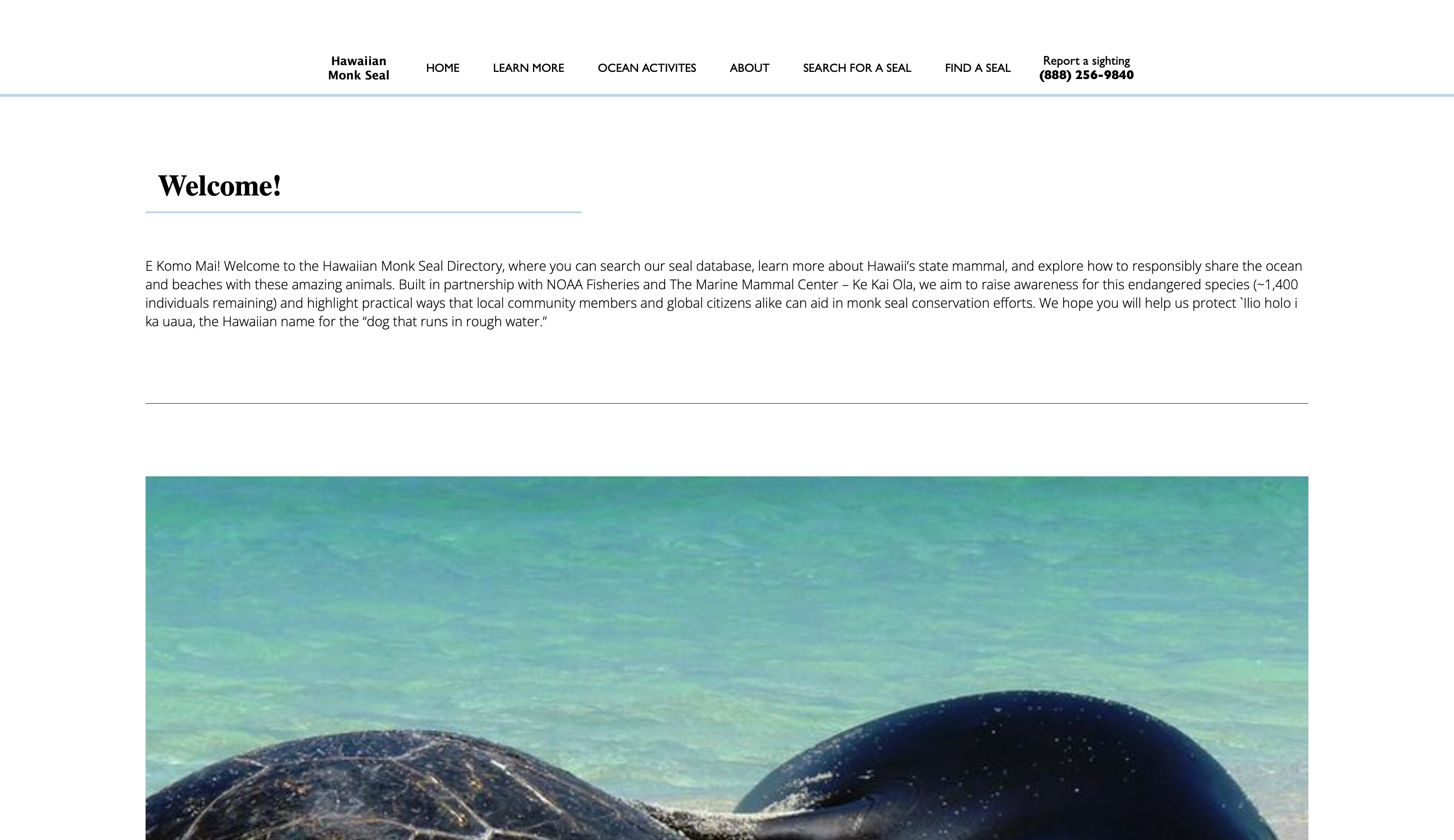 Homepage Dashboard