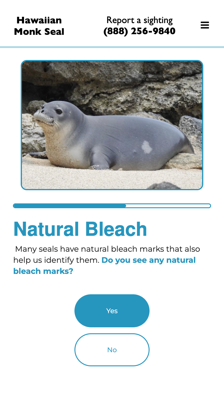 Natural Bleaching Patterns
