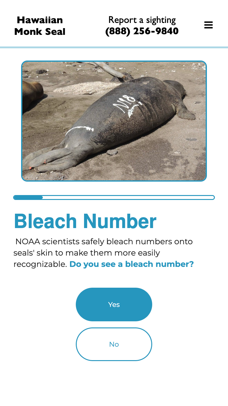 Bleach Pattern Number Input