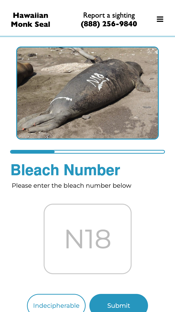 Bleach Pattern Entry Form