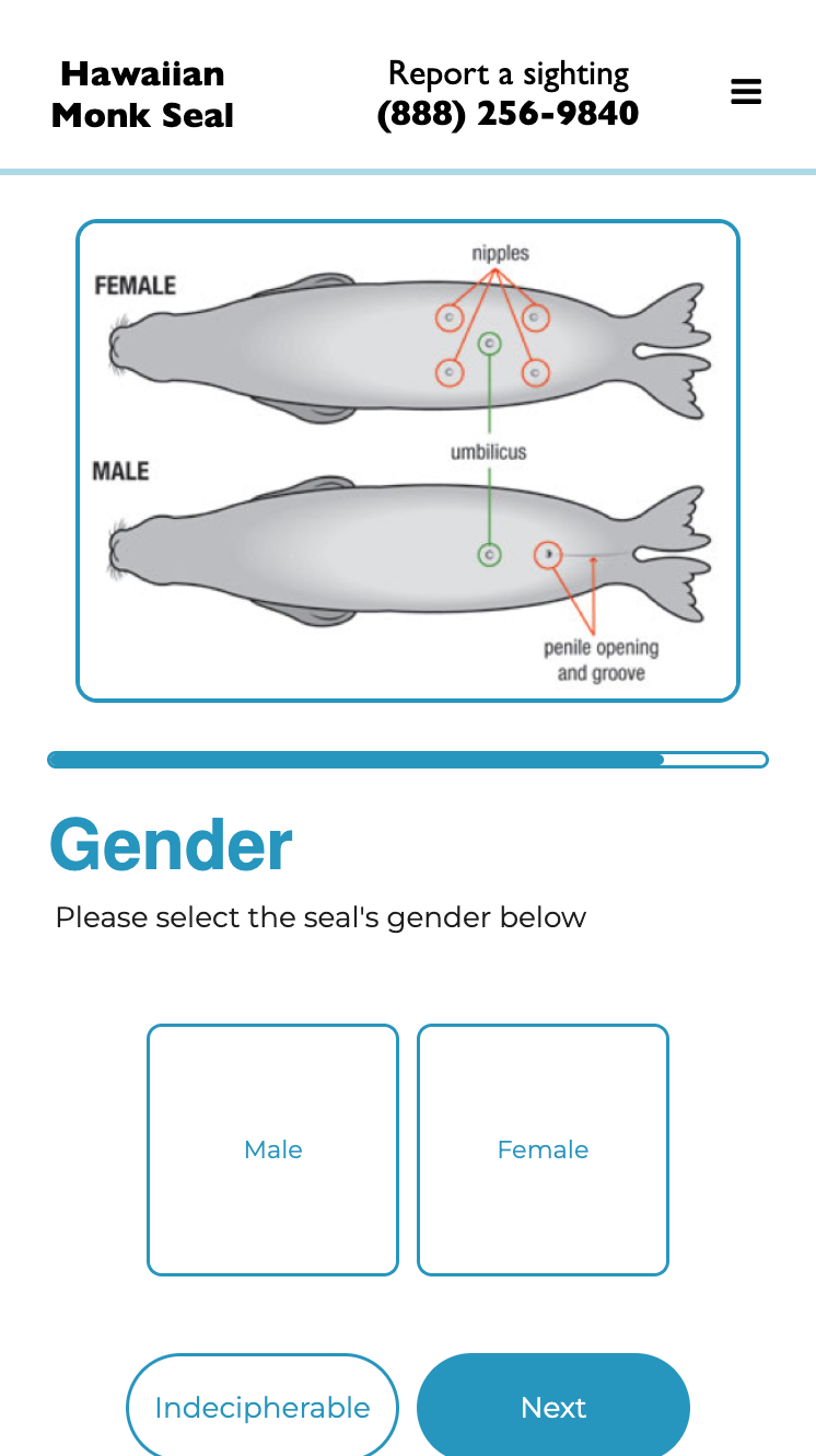 Gender Identification Tool