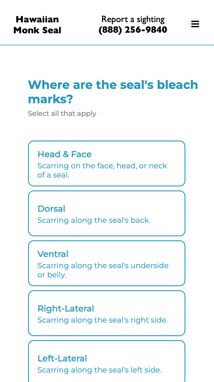 Natural Bleach Selection Tool