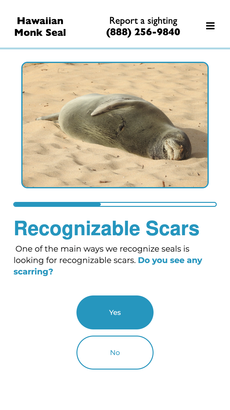 Scar Identification Interface