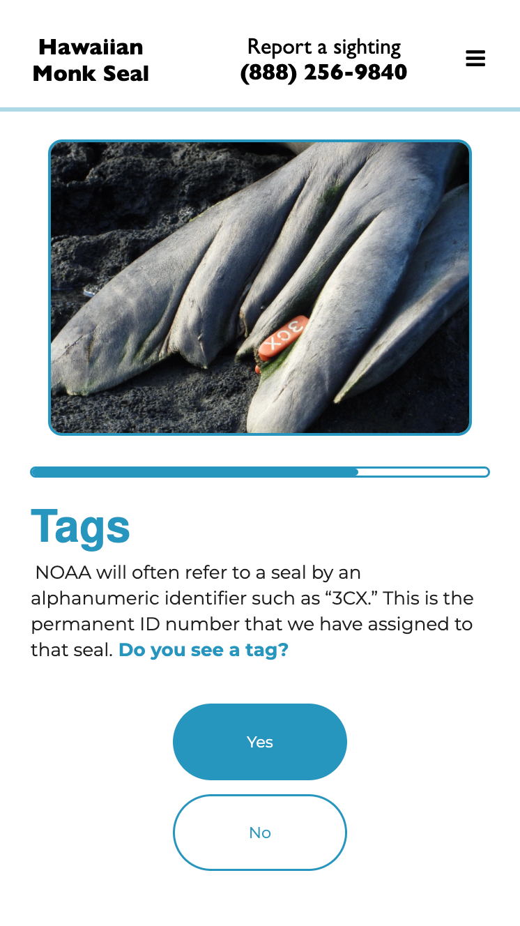 Tag Identification System